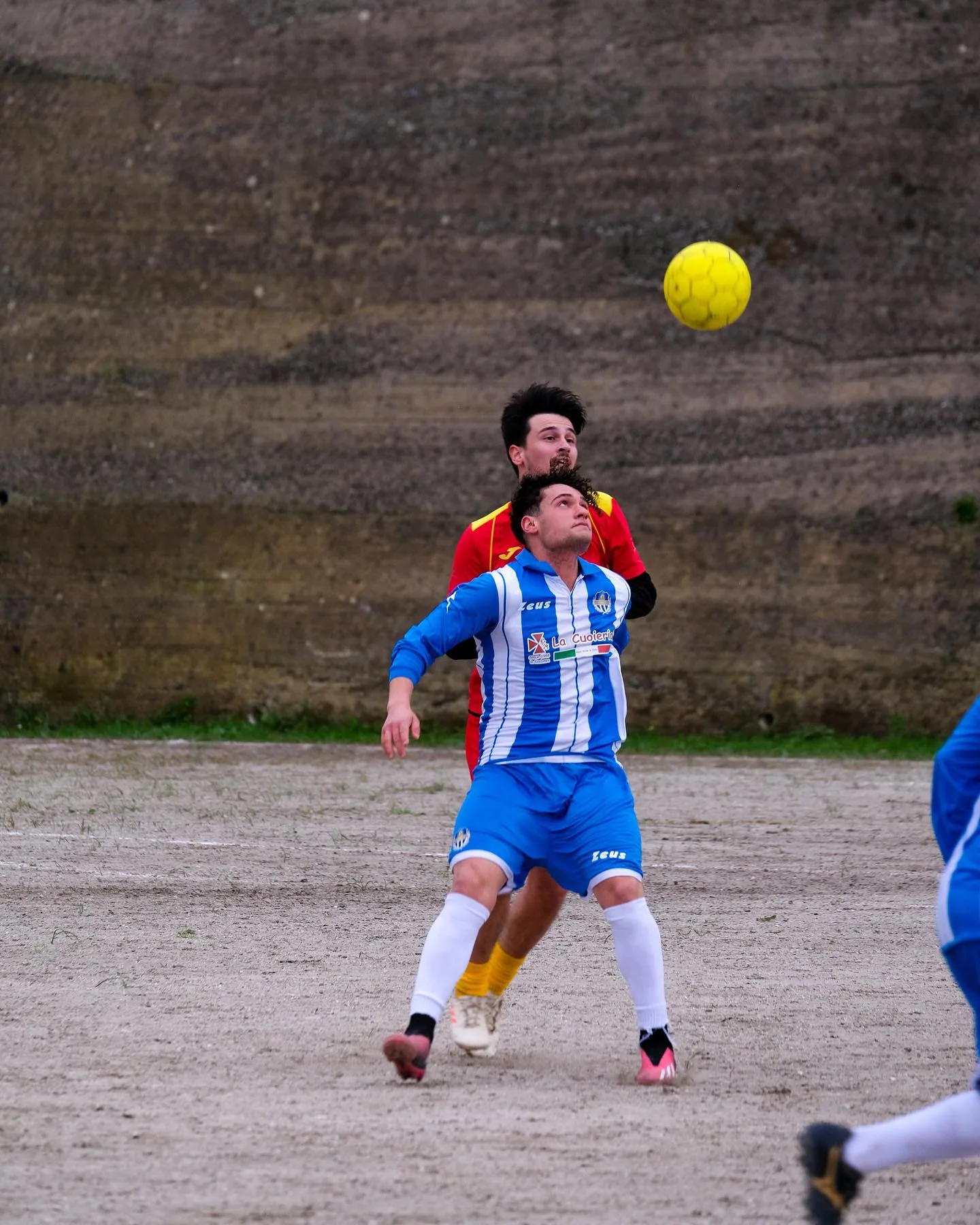 Castanea – San Pier Niceto, marzo 2024