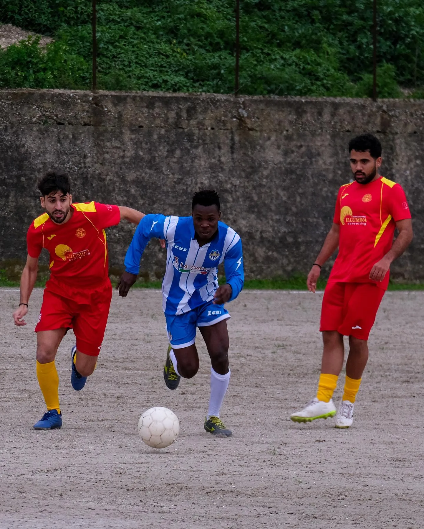 Castanea – San Pier Niceto, marzo 2024